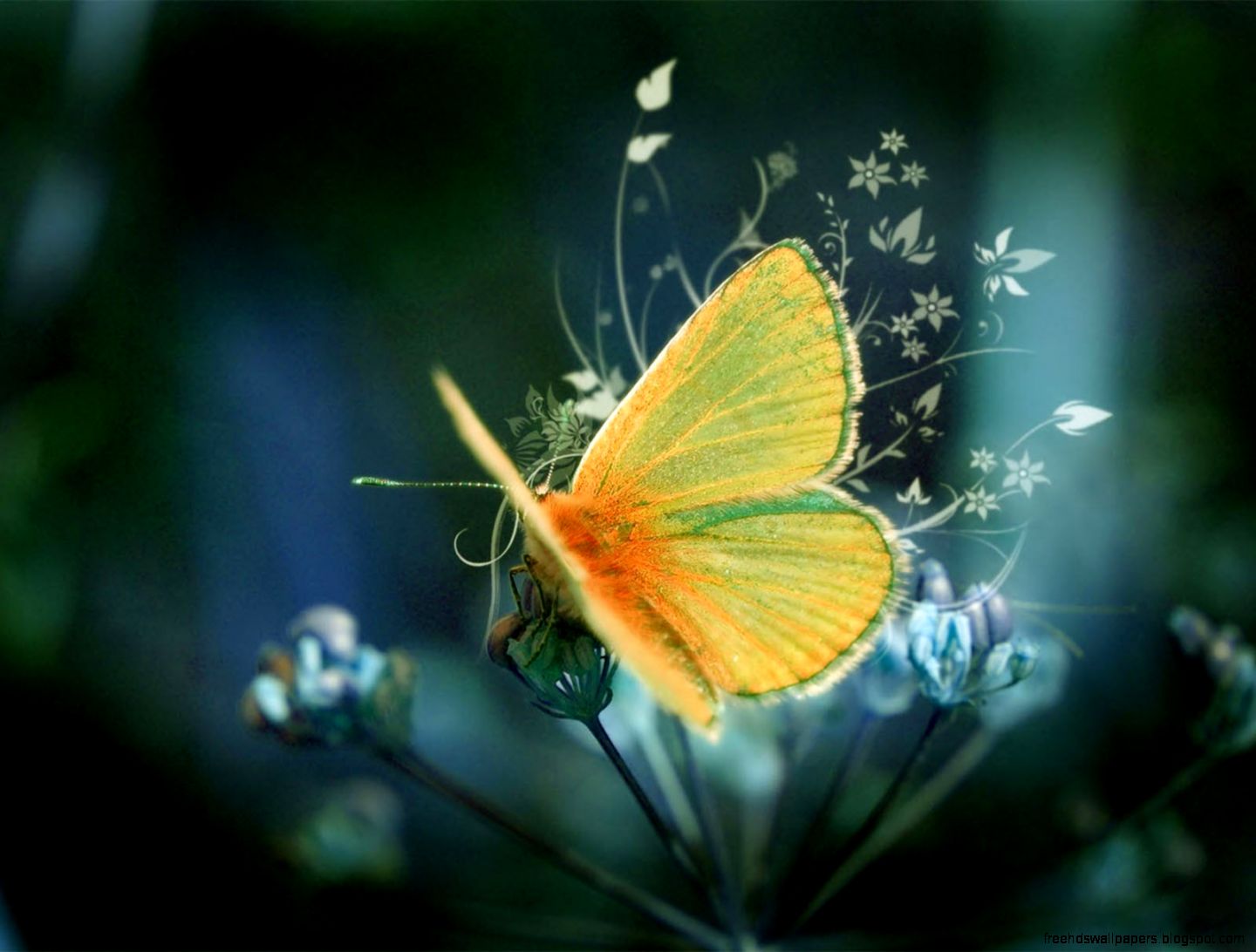 Free Cool Desktop Backgrounds Free Cool Desktop Backgrounds