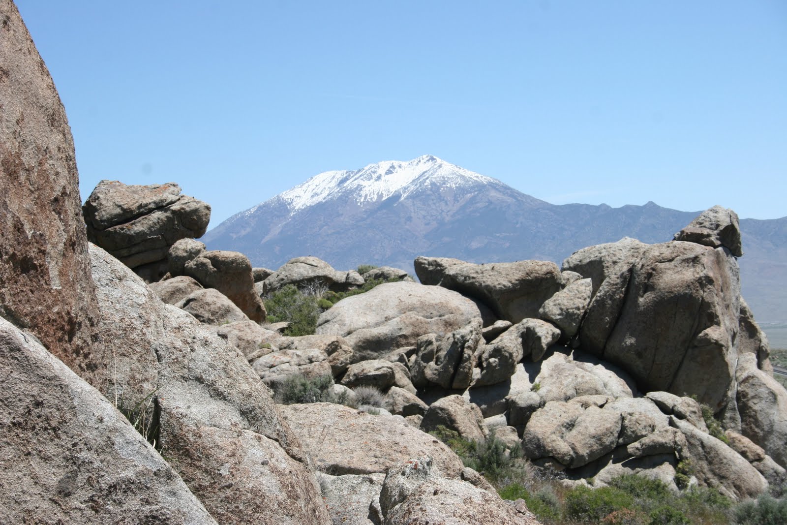 Great Basin Ute Pilot Peak, Nevada