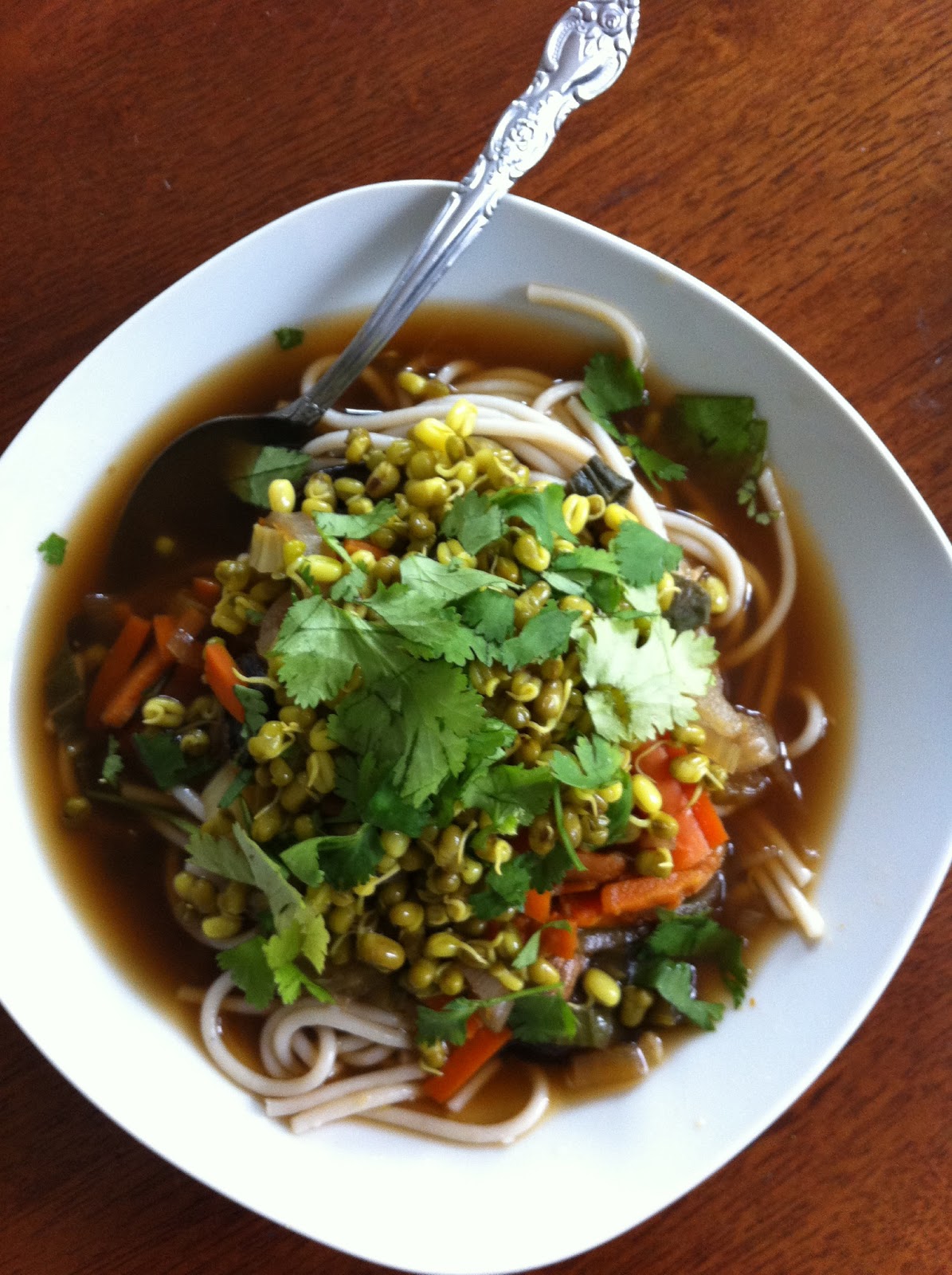 Amanda Raw Plant based eating Forks Over Knives Lasagna & Soups