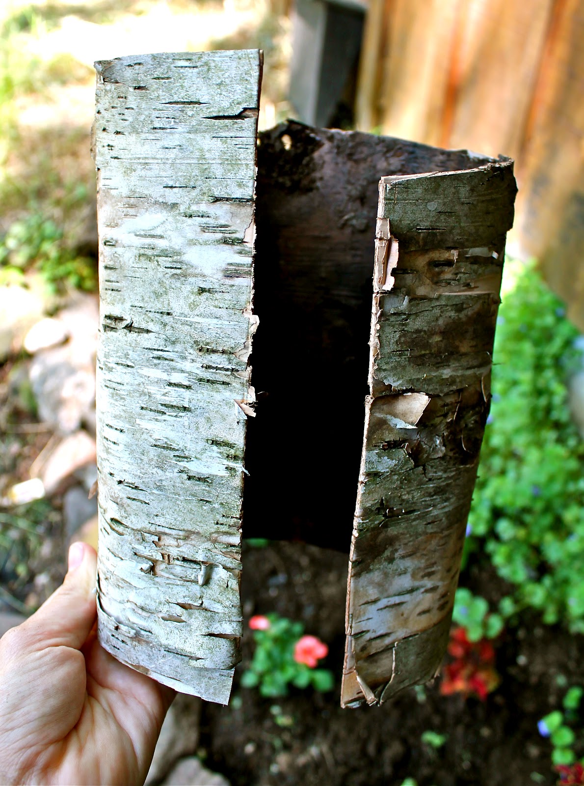 Twig and Toadstool Creating A Birch Bark Vase
