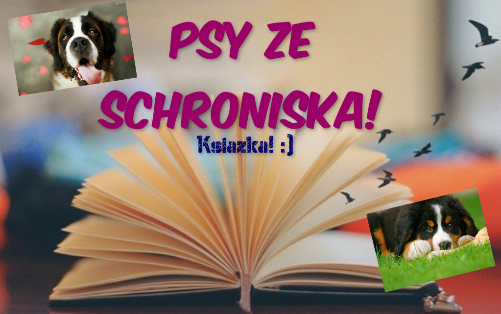 Psy Ze Schroniska