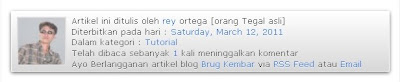 info-penulis_blog