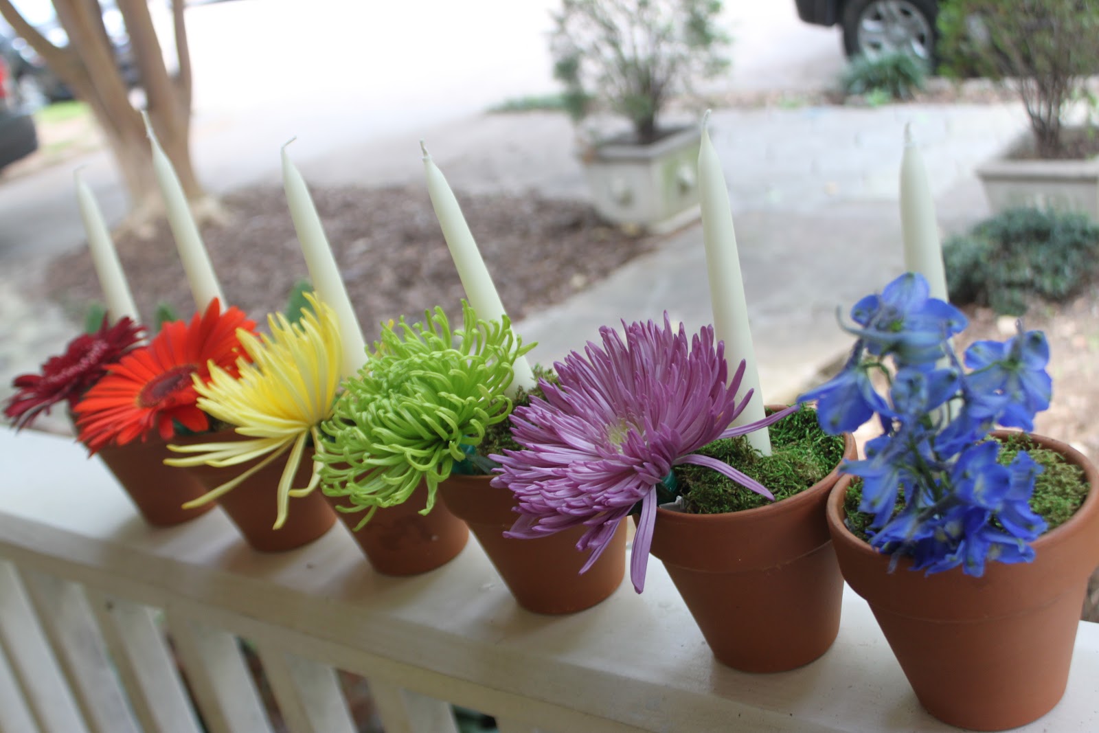 Sake Mom Candle Flower Pot Centerpiece