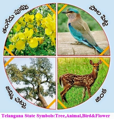 TELANGANA UPDATES: Telangana State Official Bird Animal Flower Tree Symbols: Telangana Updates