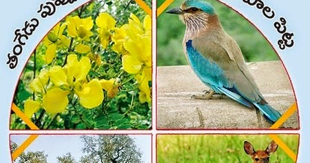 Telangana State Official Bird Animal Flower Tree Symbols:Telangana
