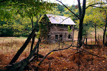 Kentucky Farm