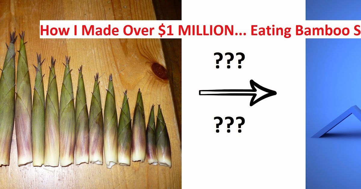 Start From Scratch How I Made Over 1 MILLION... Eating Bamboo Shoots!
