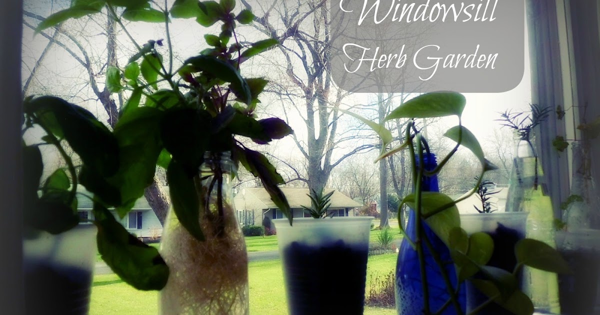 Livin\u002639; In The Green: Windowsill Herb Garden