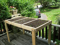 Eat Live Grow Paleo : Square Foot Gardening - Wheelchair ...