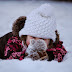 Celebrate Snow in the Montessori Environment with Curriculum Activity Ideas