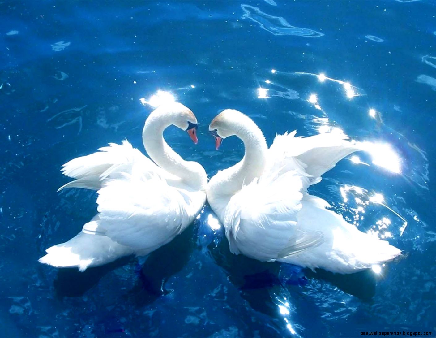 nice wallpapers nice wallpapers