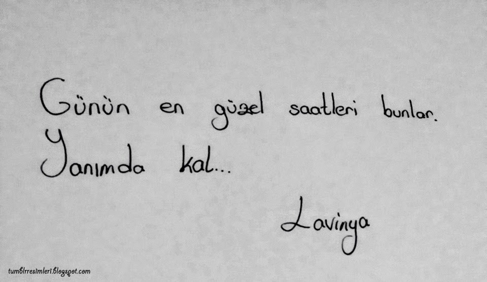 Blog Posts Downcfile