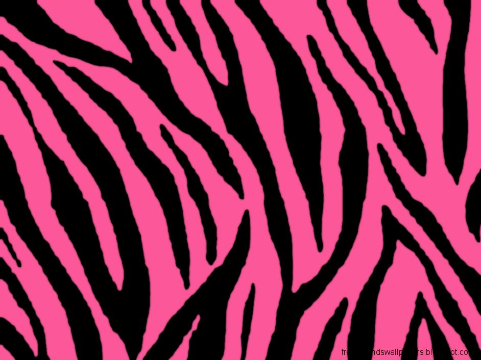 Zebra Backgrounds Wallpaper Cave Zebra Backgrounds Wallpaper Cave