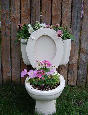 toilet garden