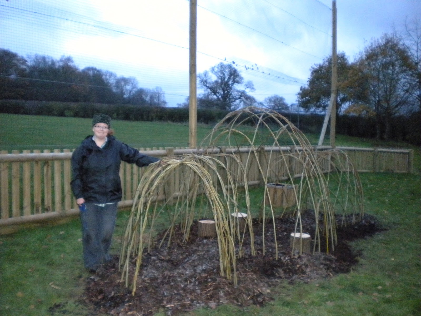 growing health by design willow weaving