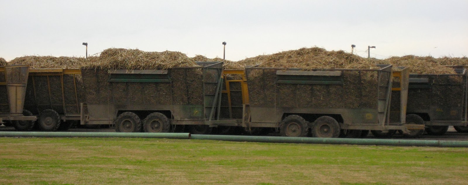 Living Rootless Jeanerette, Louisiana The Sweetest Place in Louisiana