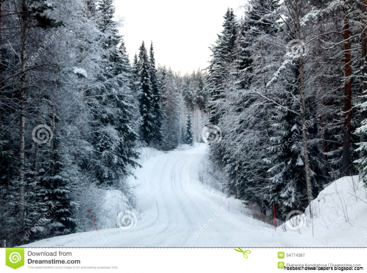 Winter Forest And A Snow Road Royalty Free Stock Photography Winter Forest And A Snow Road Royalty Free Stock Photography