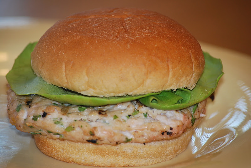 My story in recipes Chicken and Turkey