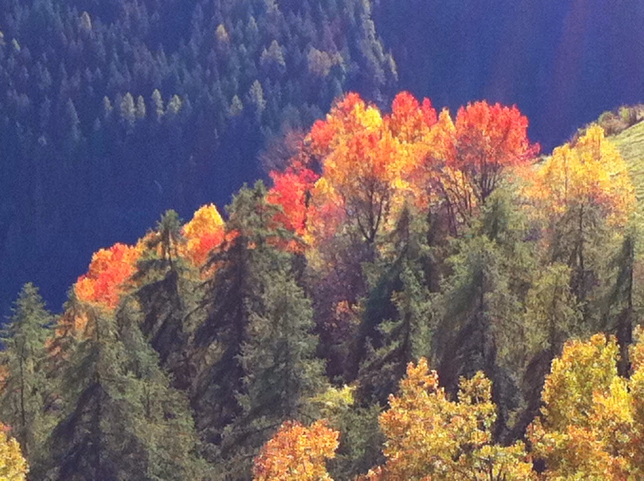 von Bau, BH und Gästebetten: Oktober 2014