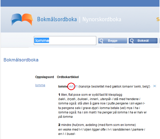 Norsk Nå EnglishNorwegian Dictionary VS Google Translate