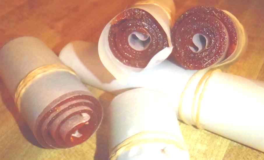 Wild Things Round Up Prickly Pear