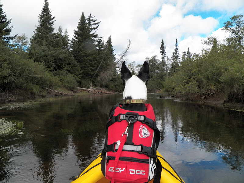 Quiet Kayaking in New York State North Branch of the Moose River, part one