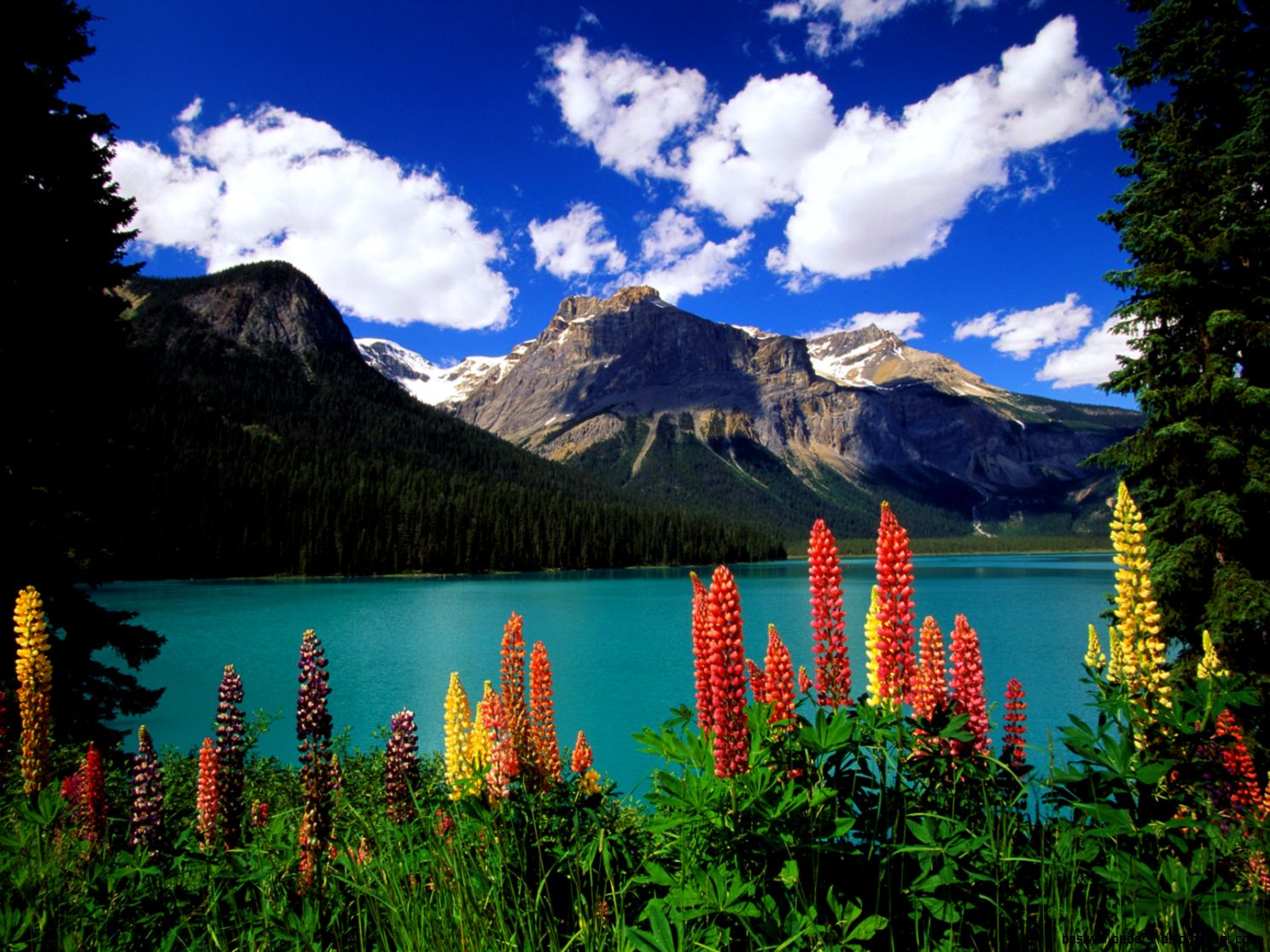 Emerald Lake Yoho National Park British Columbia Canada Emerald Lake Yoho National Park British Columbia Canada