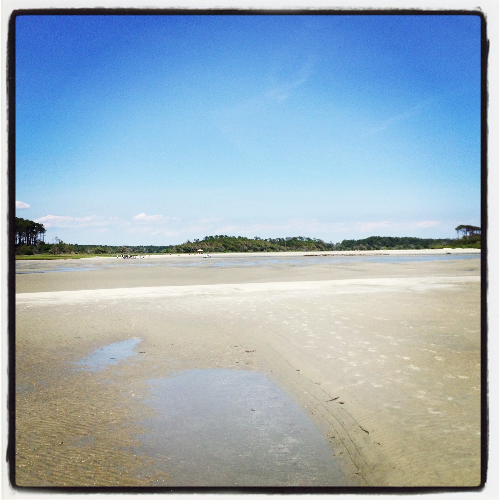 The Hunter and The Gatherer Waties Island