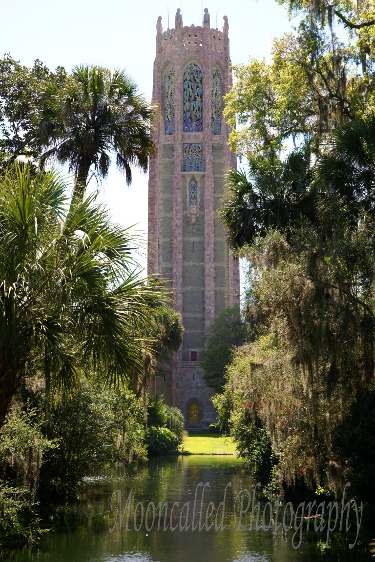 Bok Tower Koi Pond