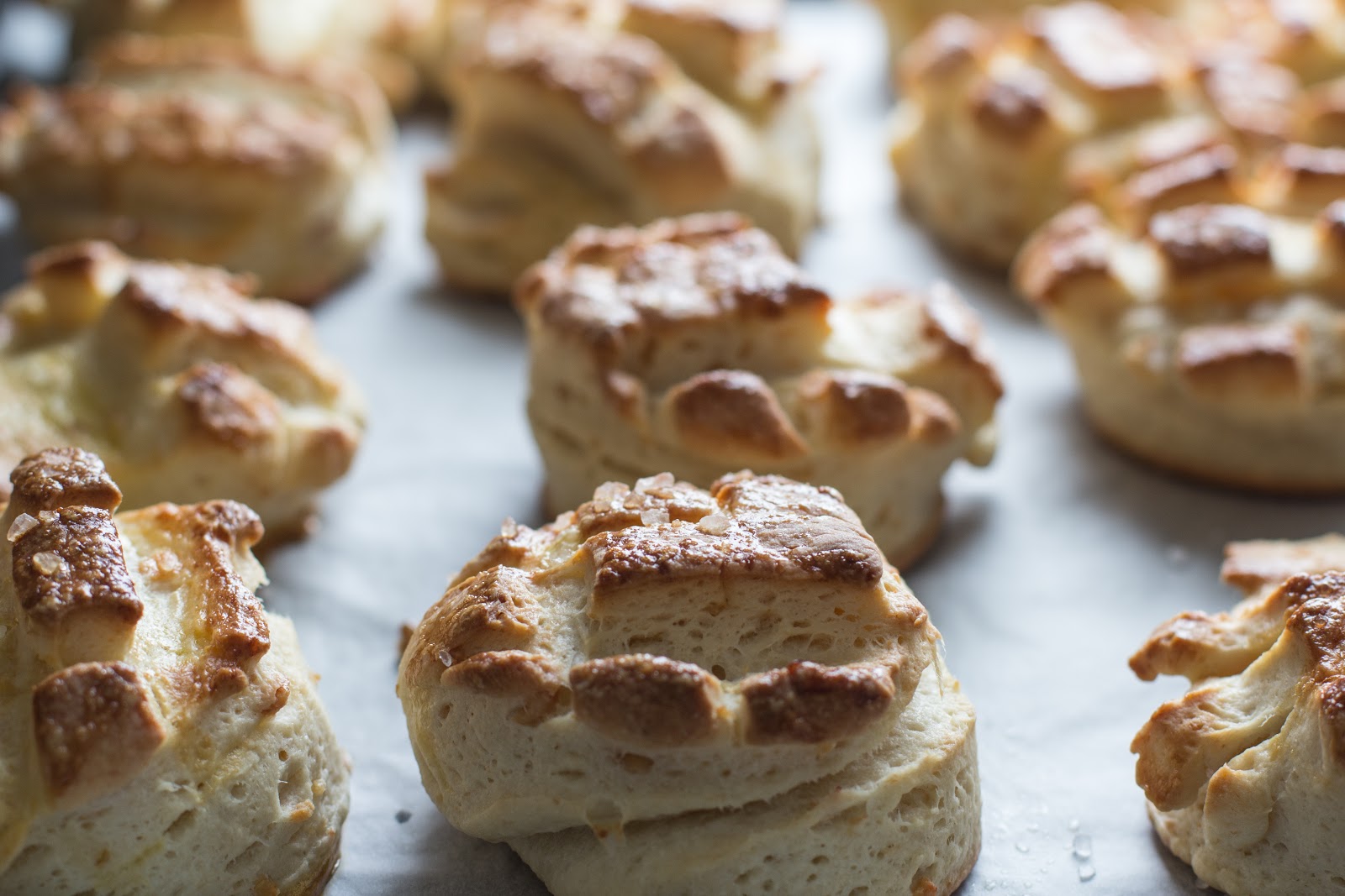 bake your slovak roots / slovenské korene Pork Rind Biscuits