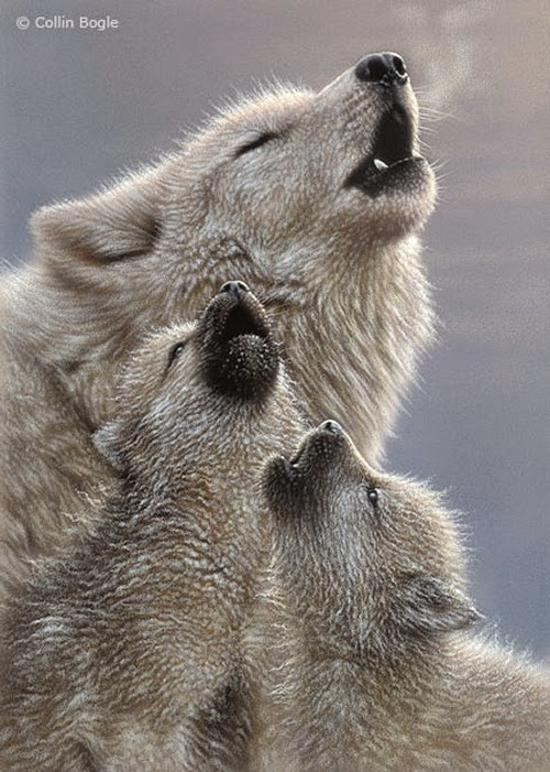 10-Howling-Wolf-Pups-Collin-Bogle-Animal-Wildlife-in-Art-www-designstack-co