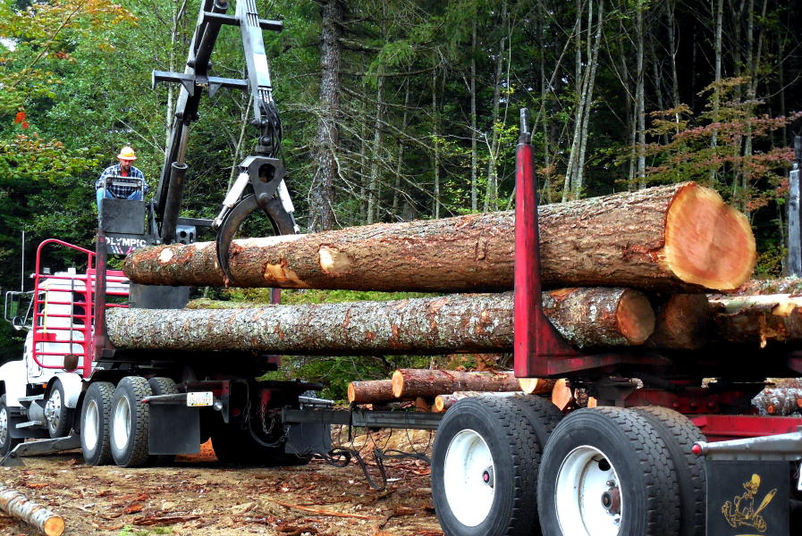OffGrid Home Sweet Home Last Load Of Logs...