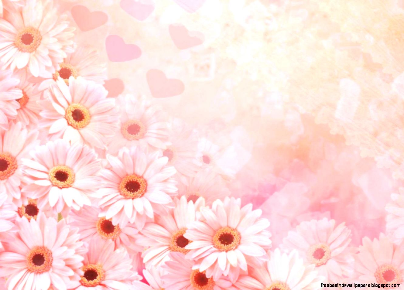 Amazing Flowers background 1400x1050 Wallpapers 1400x1050 Amazing Flowers background 1400x1050 Wallpapers 1400x1050