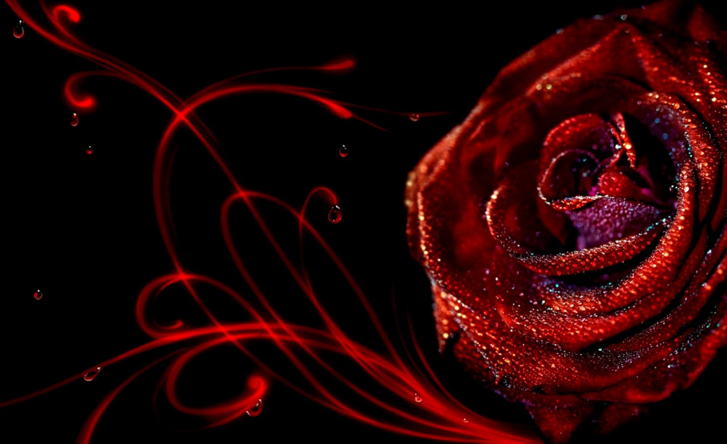 3D HD Wallpaper Red Rose Flowers 3D HD Wallpaper Red Rose Flowers