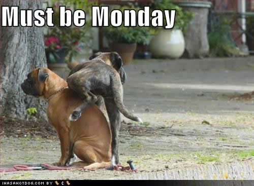 monday4.jpg