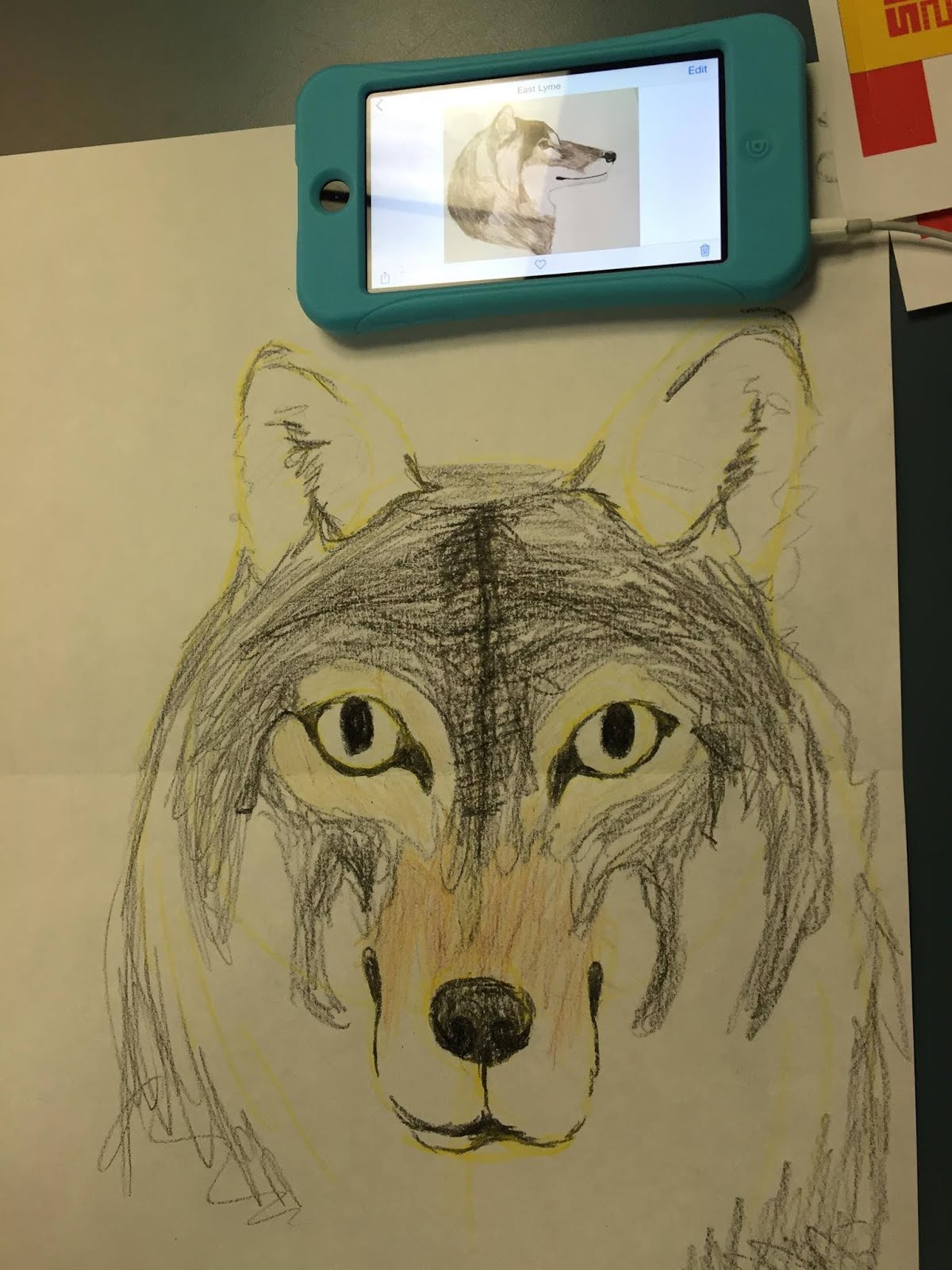 Draw a wolf at the East Lyme Public Library.