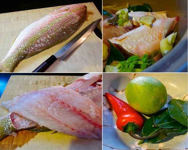 Popo's River fillet yellowtail snapper