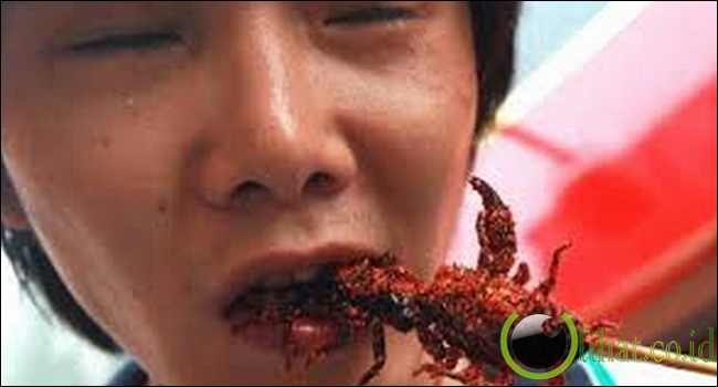 Pemakan Kalajengking Pemakan Kalajengking