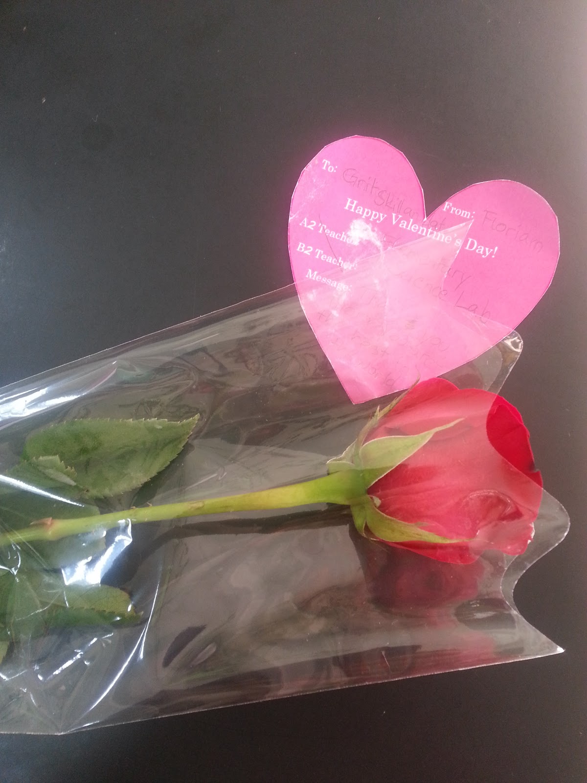 Kesse Bolle Februar 2013