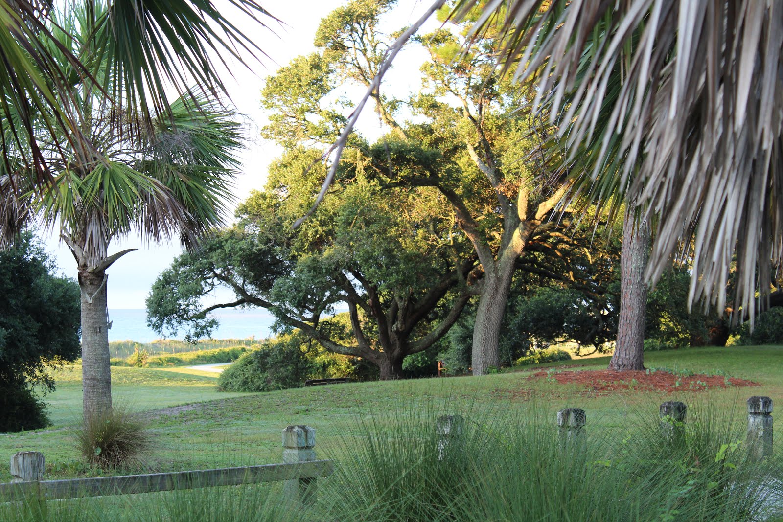 Myrtle Beach State Park