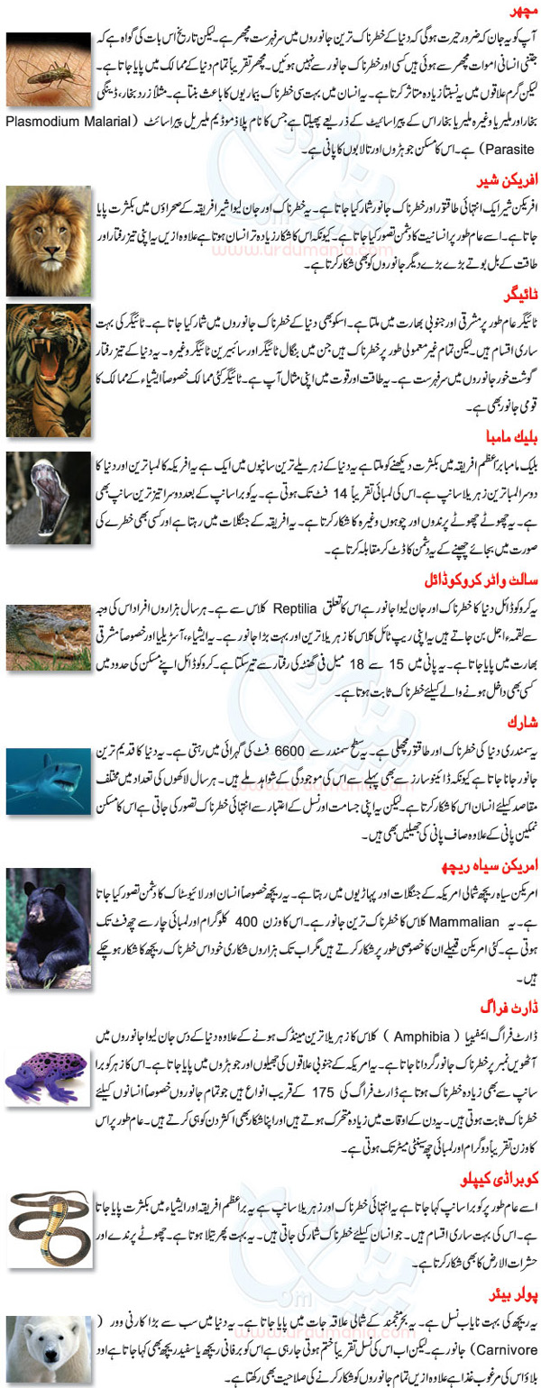 most dangerous animals in the world in urdu by abadkbs abdul basit