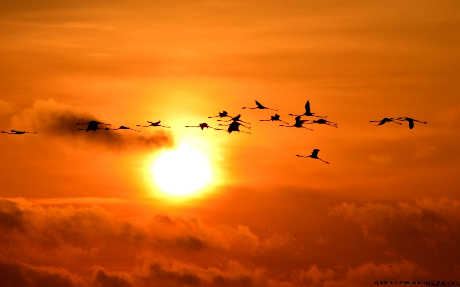 sky clouds sunset birds flying hd wallpaper Wallpaper HD sky clouds sunset birds flying hd wallpaper Wallpaper HD