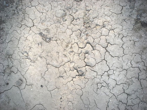 free texture