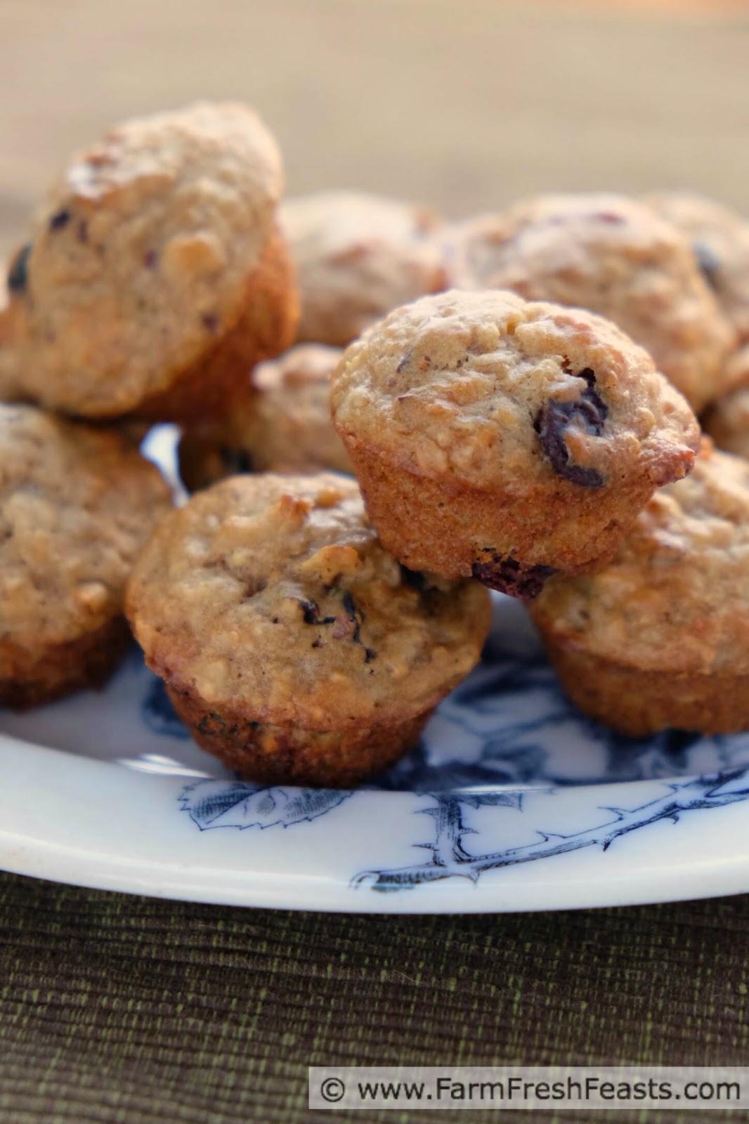 Farm Fresh Feasts Dark Chocolate Cherry Trail Mix Muffins {Monday Muffins}