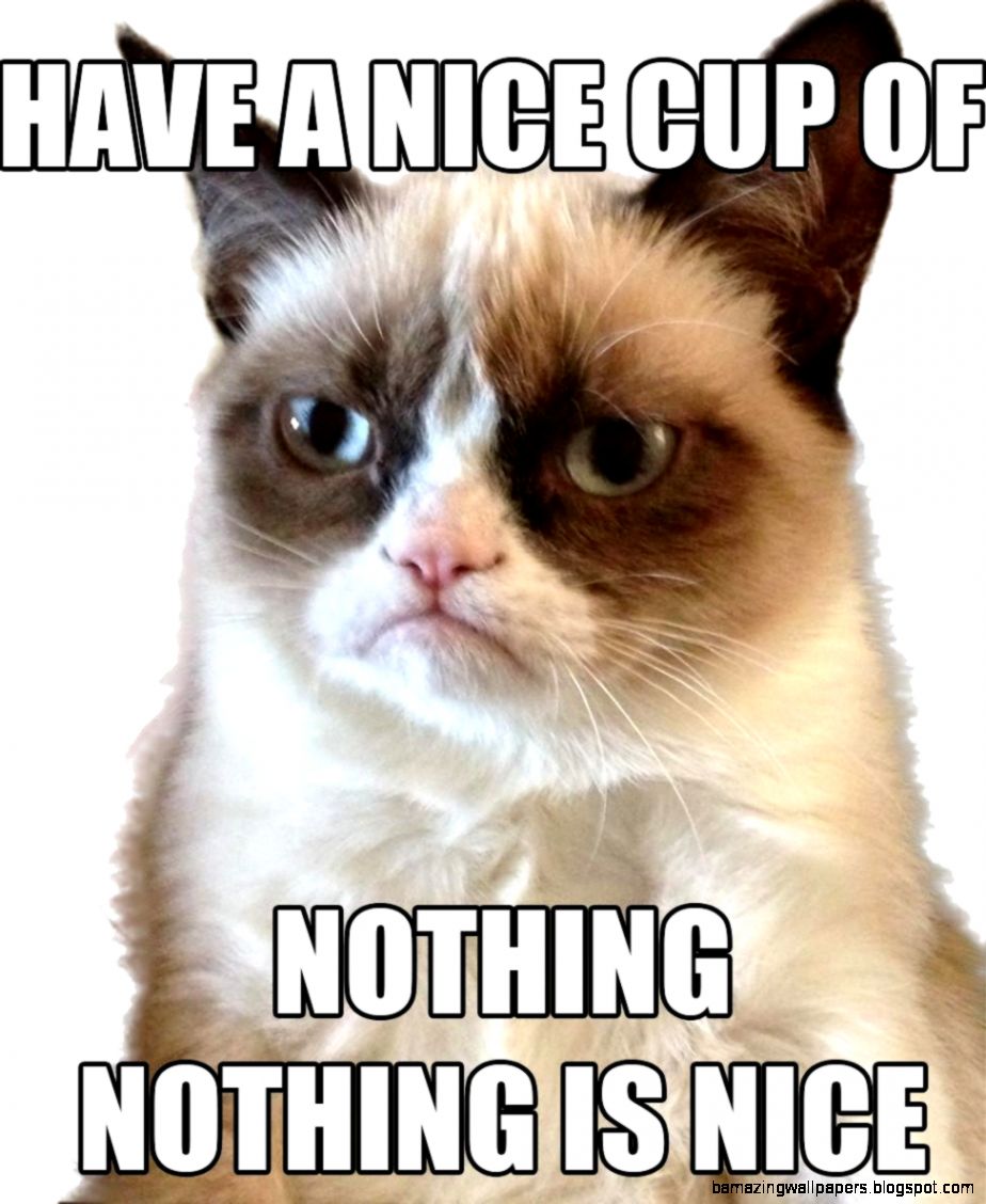 Funny Grumpy Cat Pictures With Quotes Wild Animal Live Funny Grumpy Cat Pictures With Quotes Wild Animal Live