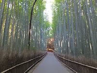 竹林の小路の右側が正門。 竹林の小路の右側が正門。