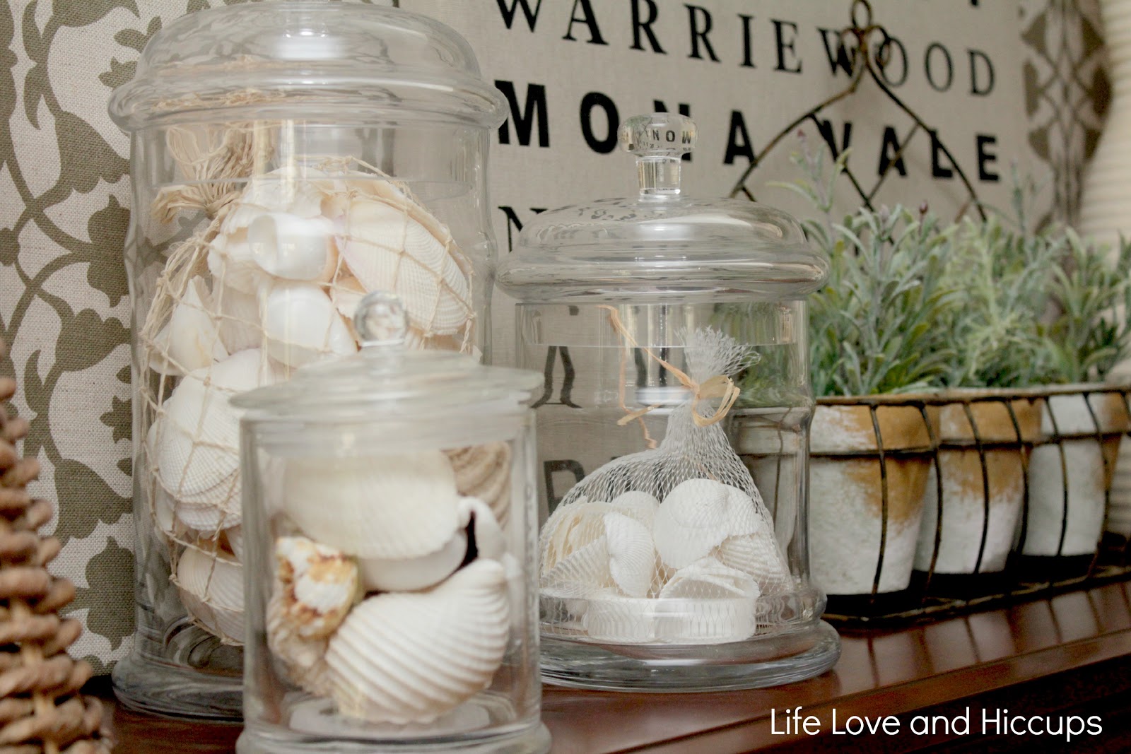 I love collecting shells, driftwood, pebbles and starfish (yep, yet