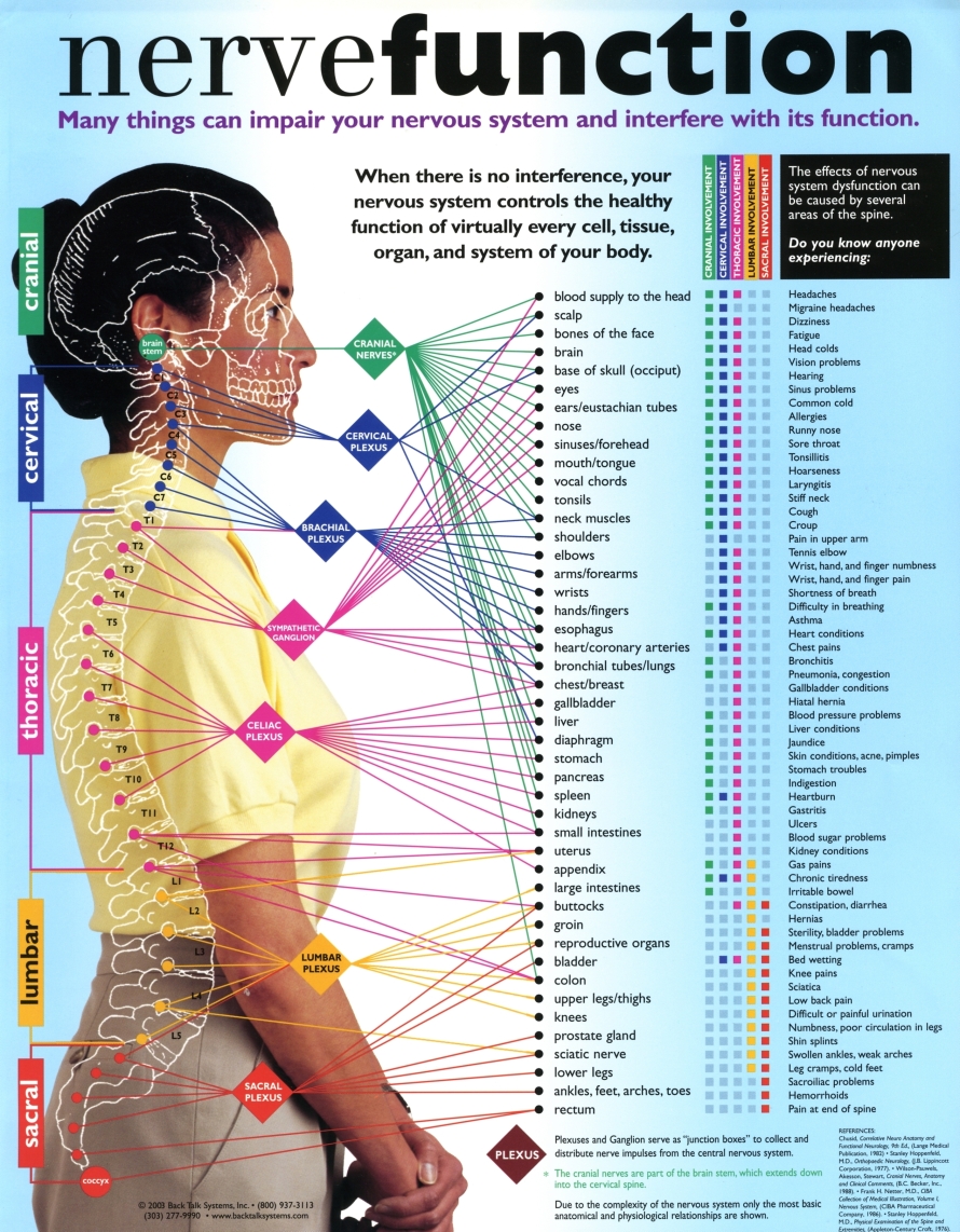 Subluxation Symptoms Chart