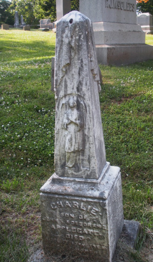 Engraved Where Angels Do Not Fear to Tread