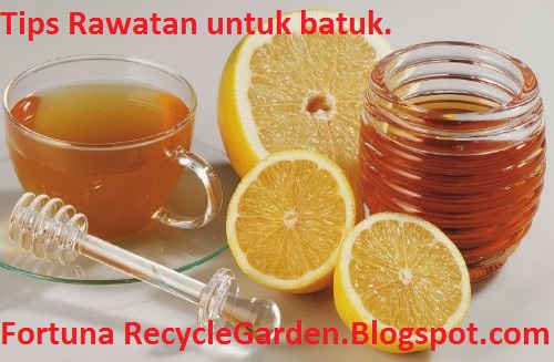TIPS Pengobatan Batuk Dan Penjagaan Diri Saat Dijangkiti Batuk TIPS Pengobatan Batuk Dan Penjagaan Diri Saat Dijangkiti Batuk